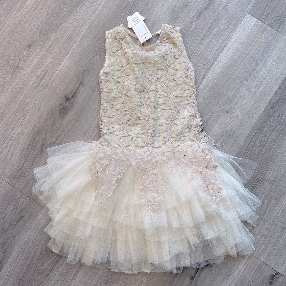 Girls lace princess dress